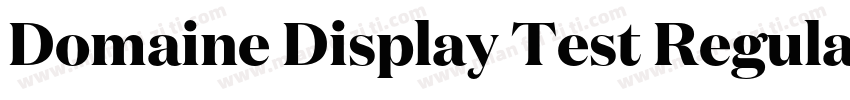 Domaine Display Test Regular字体转换